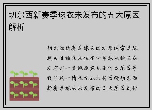 切尔西新赛季球衣未发布的五大原因解析