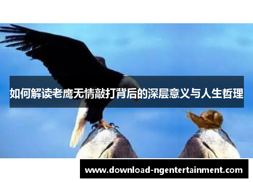 如何解读老鹰无情敲打背后的深层意义与人生哲理