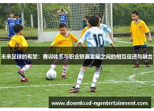 未来足球的希望：青训体系与职业联赛发展之间的相互促进与融合