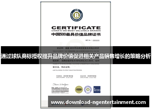 通过球队商标授权提升品牌价值促进相关产品销售增长的策略分析 通过球队商标授权提升品牌价值促进相关产品销售增长的策略分析